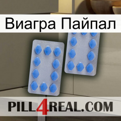 Виагра Пайпал 20